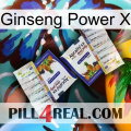 Ginseng Power X 12